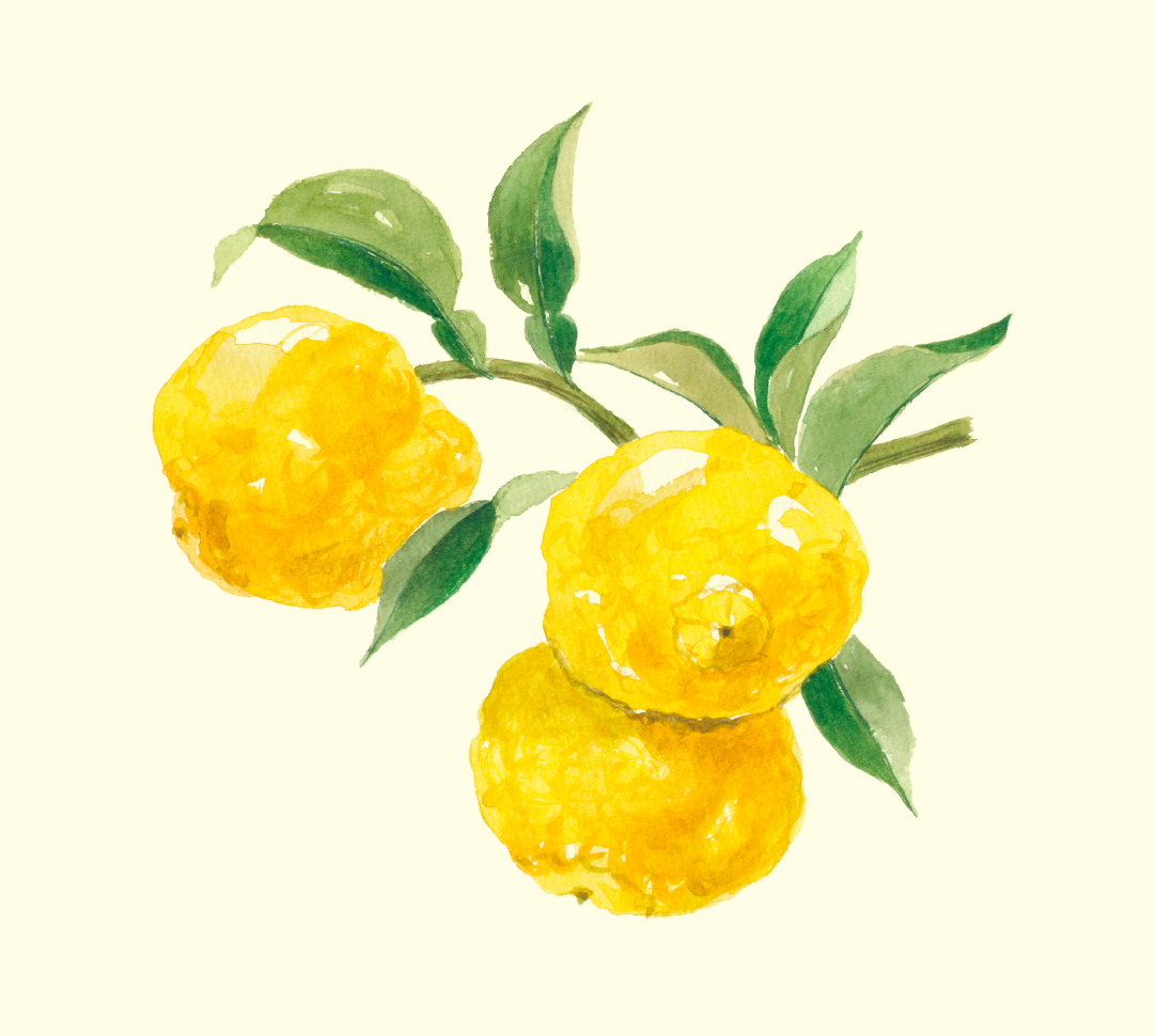 Yuzu