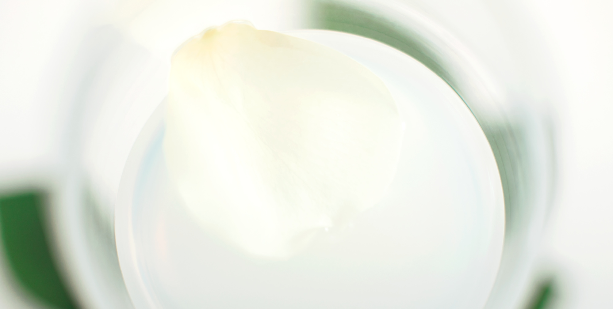 SAKURAO GIN WHITE HERBS | SAKURAO DISTILLERY
